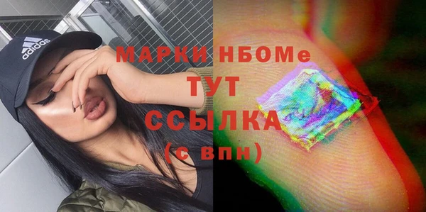 шишки Алзамай