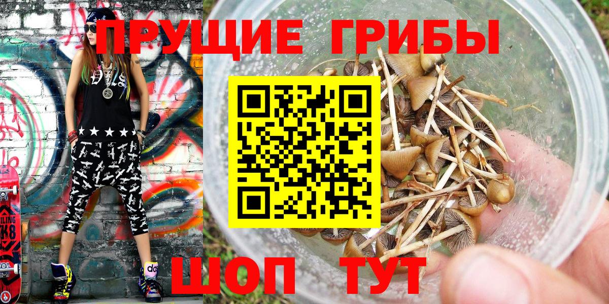 Псилоцибиновые грибы прущие грибы  Вход с VPN  сколько стоит  Усть-Илимск 